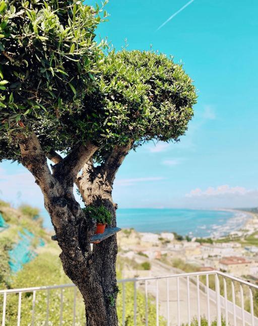 Lavinum Villa Monte di Procida Kültér fotó